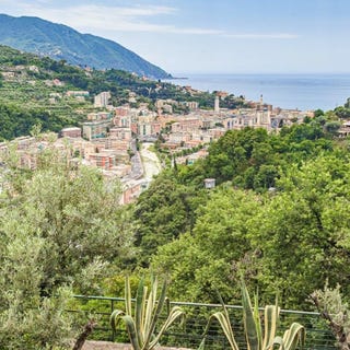 /international/it/recco-liguria-310107025917/