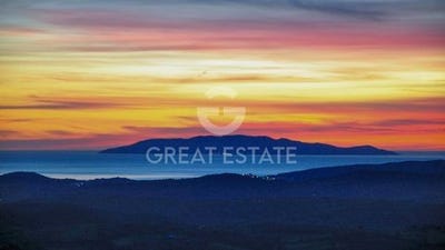 /international/it/scansano-tuscany-310101901694/