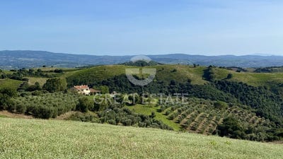 /international/it/campagnatico-tuscany-310105774921/
