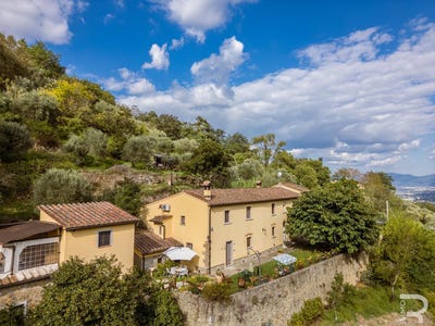 /international/it/lamporecchio-lamporecchio-tuscany-310102632154/