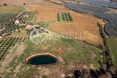 /international/it/capalbio-tuscany-310105266080/