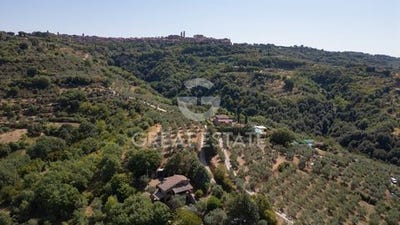 /international/it/citta-della-pieve-umbria-310100405670/