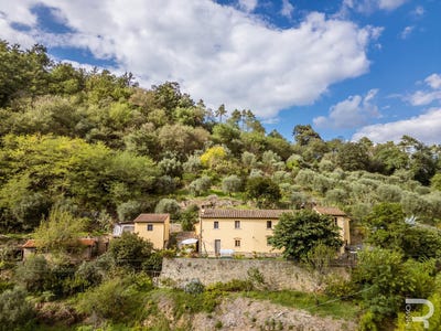 /international/it/lamporecchio-tuscany-310108974512/