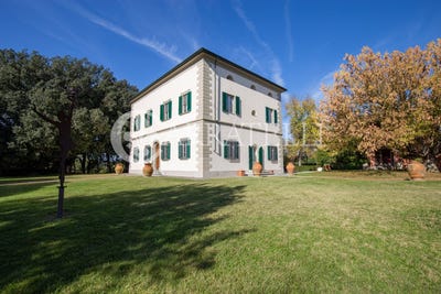 /international/it/fucecchio-tuscany-310105350215/