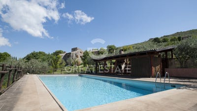 /international/it/trevi-umbria-310096672570/