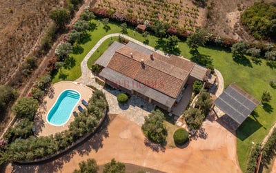 /international/it/olbia-sardinia-310107565872/