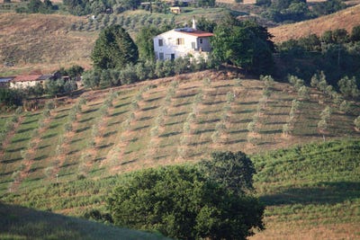/international/it/grosseto-tuscany-310108325179/