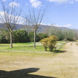 /international/it/carmignano-tuscany-310108837944/