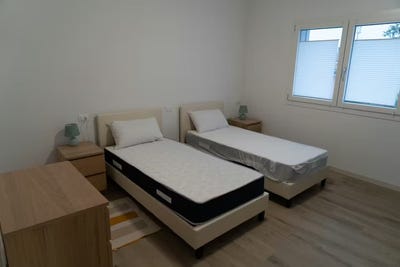 /international/it/via-vecchia-padova-veneto-310107468282/