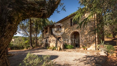 /international/it/magione-umbria-310101230019/