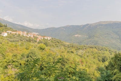 /international/it/borgomaro-liguria-310110261269/