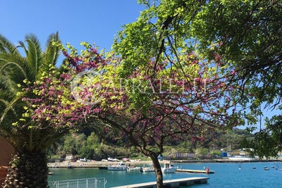 /international/it/portovenere-liguria-310099759787/