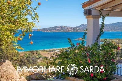 /international/it/arzachena-sardinia-310106826863/