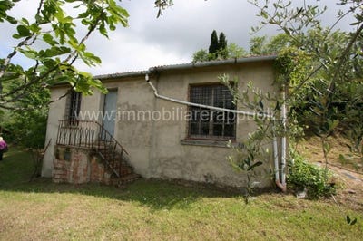 /international/it/scrofiano-tuscany-120091089042/