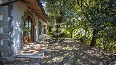/international/it/tuoro-sul-trasimeno-umbria-310103348821/