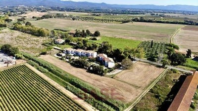 /international/it/via-della-camminata-bibbona-tuscany-310108187482/