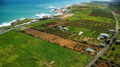 /international/it/fasano-apulia-310104492304/