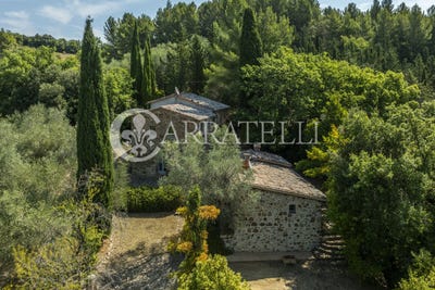 /international/it/castiglione-d-orcia-tuscany-310101862590/