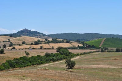 /international/it/grosseto-tuscany-310108320711/