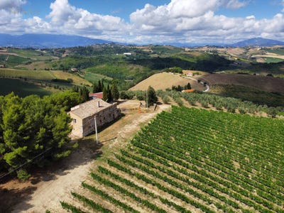 /international/it/contrada-forola-15-acquaviva-picena-marche-310107236900/
