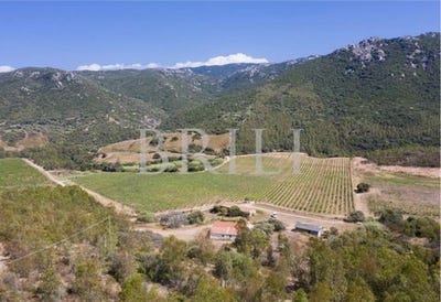 /international/it/cala-sarraina-sassari-sardinia-310106878076/
