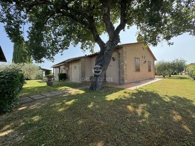/international/it/castiglione-del-lago-umbria-310101387704/