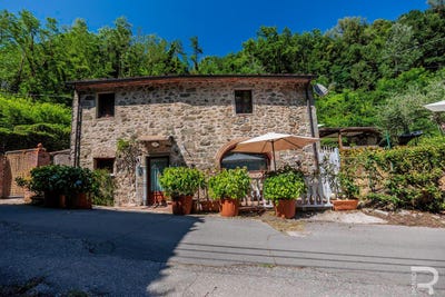 /international/it/villa-basilica-villa-basilica-tuscany-310109044875/