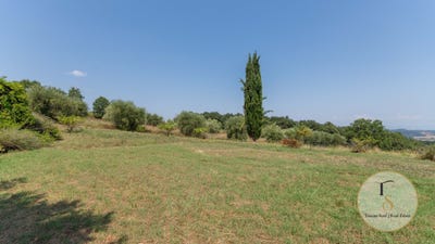 /international/it/pienza-tuscany-310109240189/