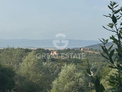 /international/it/citta-della-pieve-umbria-310104810557/