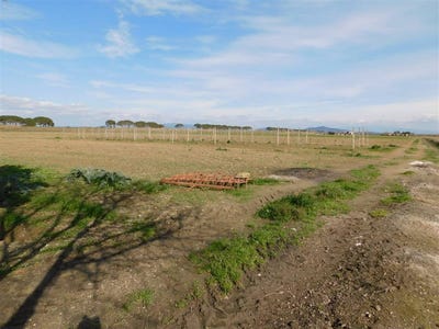 /international/it/grosseto-tuscany-310108325451/