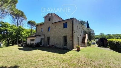 /international/it/montescudaio-tuscany-310108972332/?lang=th