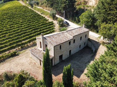 /international/it/sp142-snc-ripatransone-marche-310103019636/