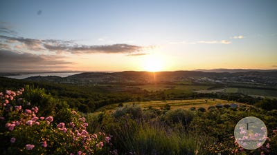 /international/it/magione-umbria-310110359663/