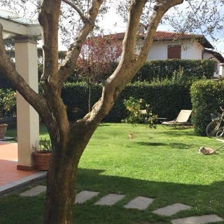 /international/it/forte-dei-marmi-tuscany-310109651031/