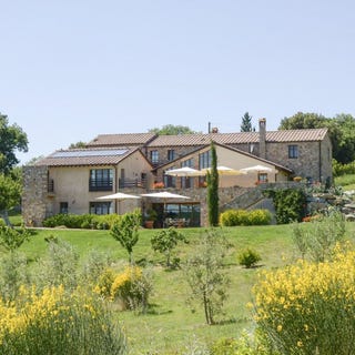 /international/it/cinigiano-tuscany-310107980602/