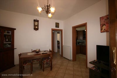 /international/it/torrita-di-siena-tuscany-310105997362/