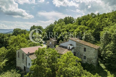 /international/it/barberino-di-mugello-tuscany-310101357849/