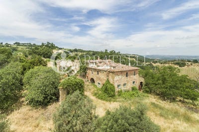 /international/it/torrita-di-siena-tuscany-310105812920/
