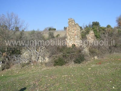 /international/it/castelnuovo-dell-abate-tuscany-120059749816/
