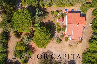 /international/it/san-teodoro-sardinia-310108317477/