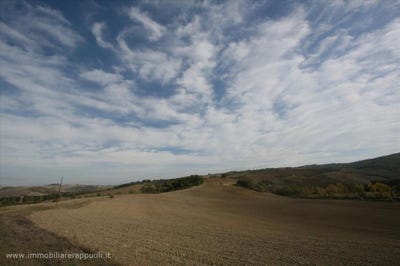 /international/it/montalcino-tuscany-120091086084/