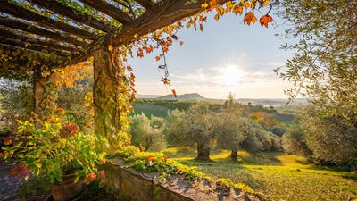 /international/it/montenero-tuscany-310105812164/