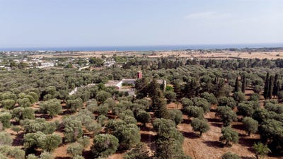 /international/it/maruggio-apulia-310108995954/?lang=zh-cn