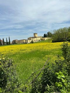 /international/it/via-di-torregalli-florence-tuscany-310093874539/