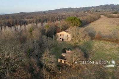 /international/it/citta-della-pieve-umbria-310105372390/