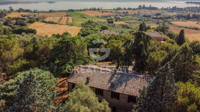 /international/it/magione-umbria-310101230019/?lang=zh-cn