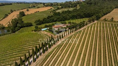 /international/it/montepulciano-tuscany-120097552657/