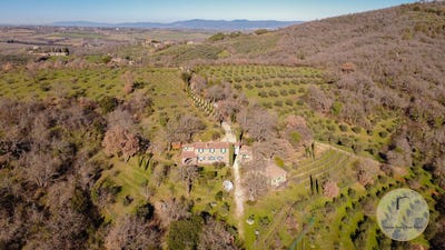 /international/it/citta-della-pieve-umbria-310109177050/