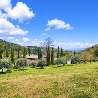 /international/it/chianni-tuscany-310107369043/