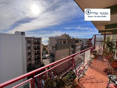 /international/it/nettuno-lazio-310106606915/